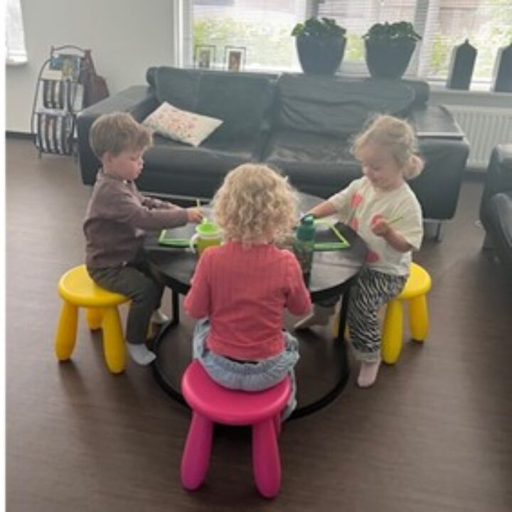 Gezelligheid gastouder Annet Nijverdal