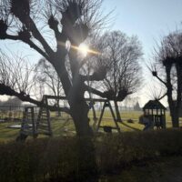 Speeltuin op het erf van gastouder Mayke in Haarle