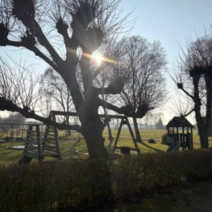 Speeltuin op het erf van gastouder Mayke in Haarle